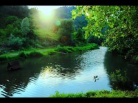 /album/galeri/a10309342-265555846962557-2062147042776776514-n-jpg/