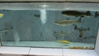 /album/galeri/img-0110-jpg/